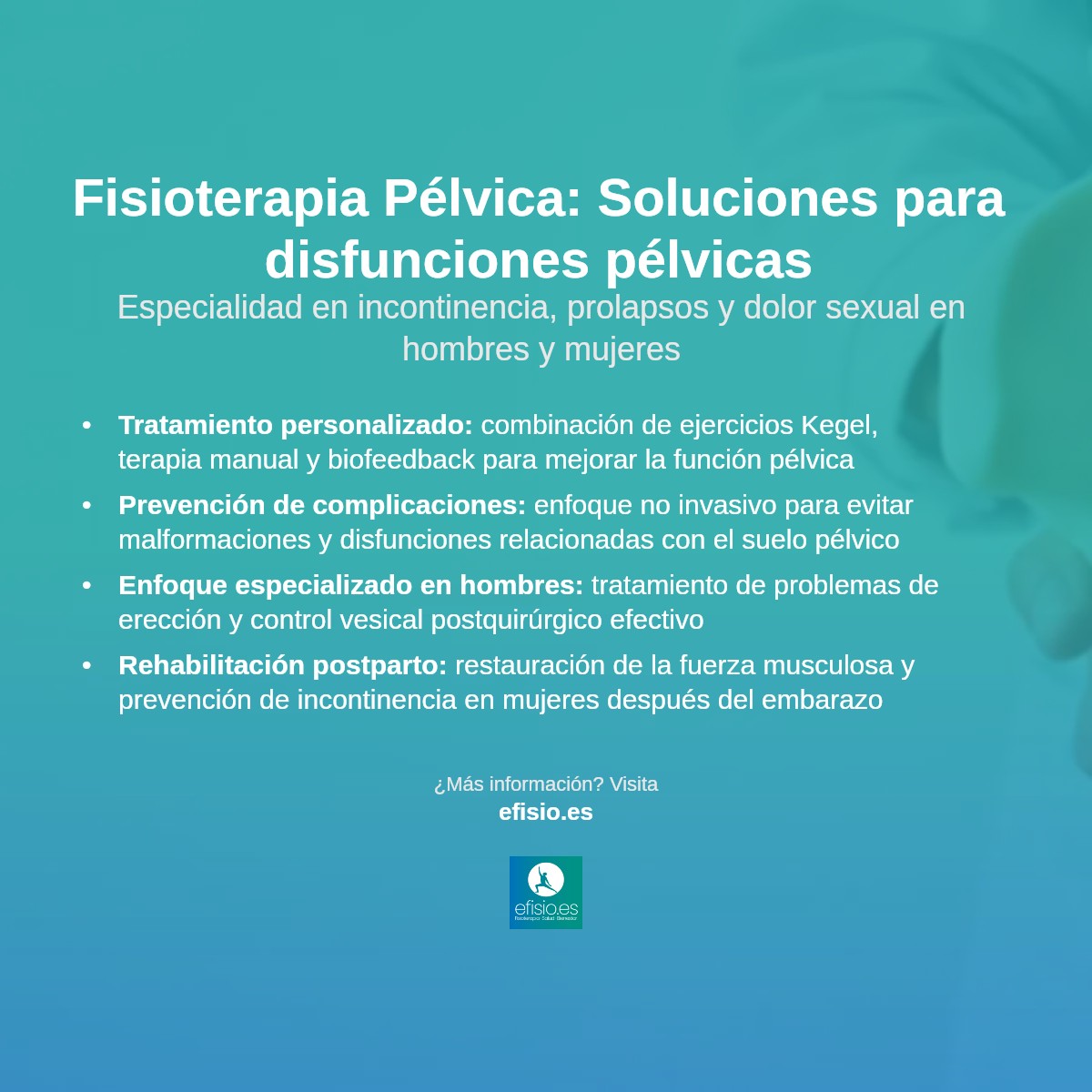 Imagen resumen sobre Fisioterapia Pélvica