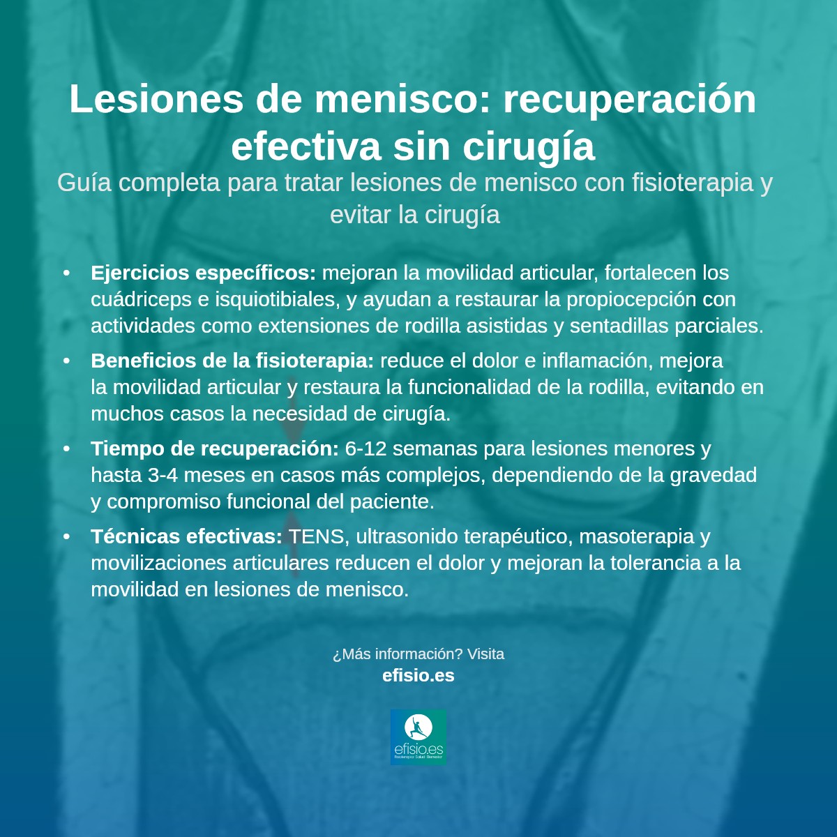 Imagen resumen sobre Lesiones de Meniscos