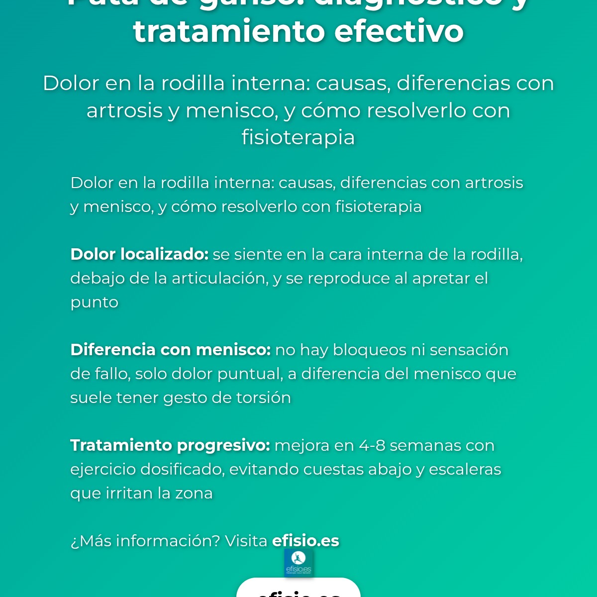 Imagen resumen sobre Pata de Ganso en la Rodilla