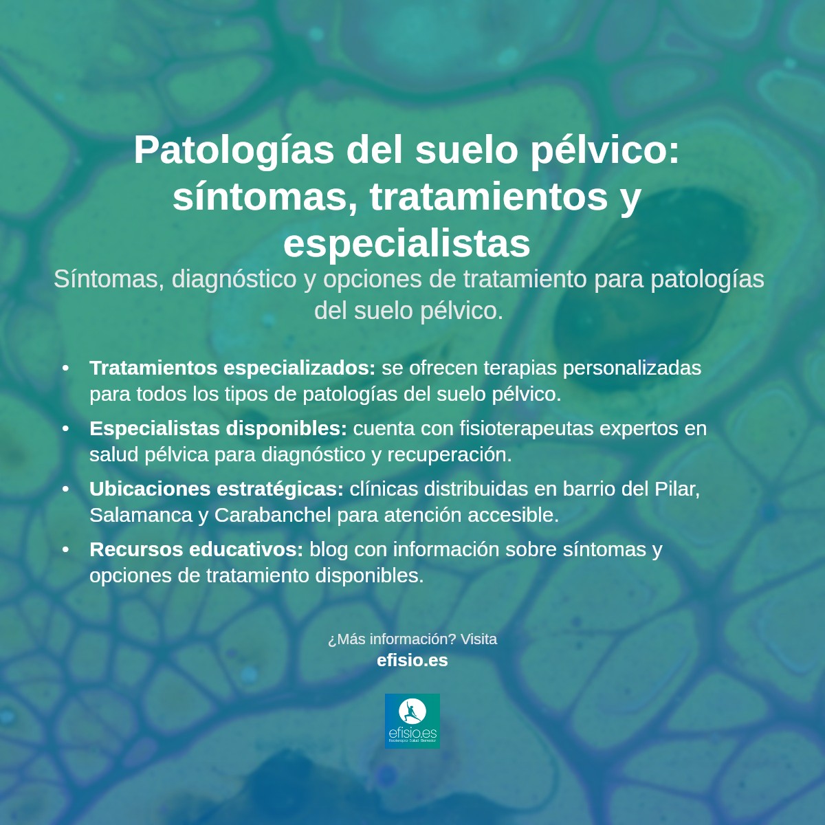 Imagen resumen sobre Patologías de suelo pélvico