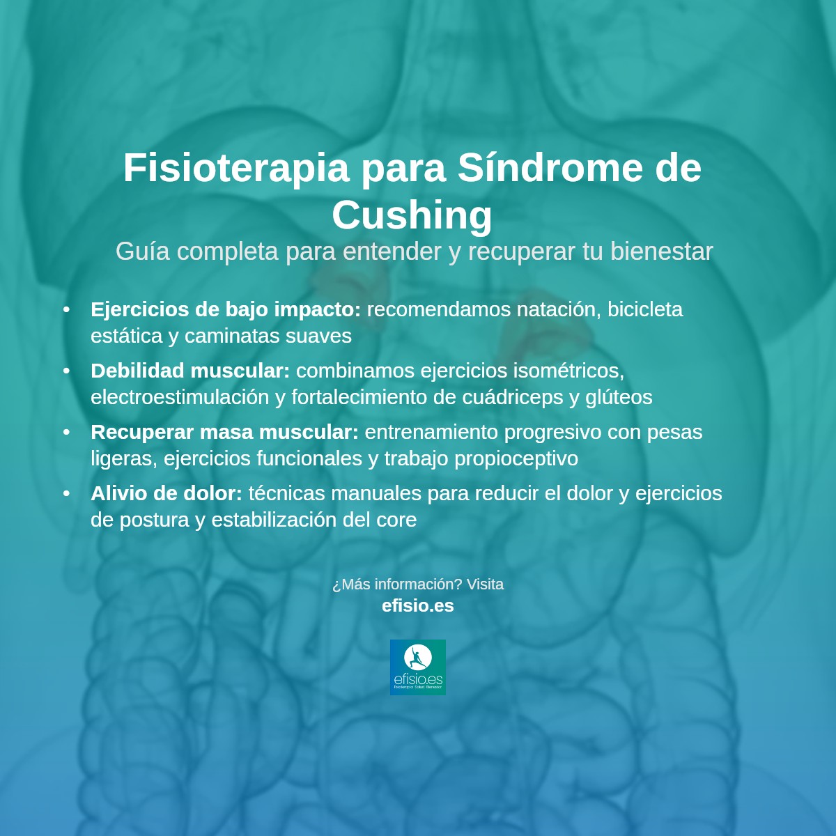 Imagen resumen sobre Síndrome de Cushing