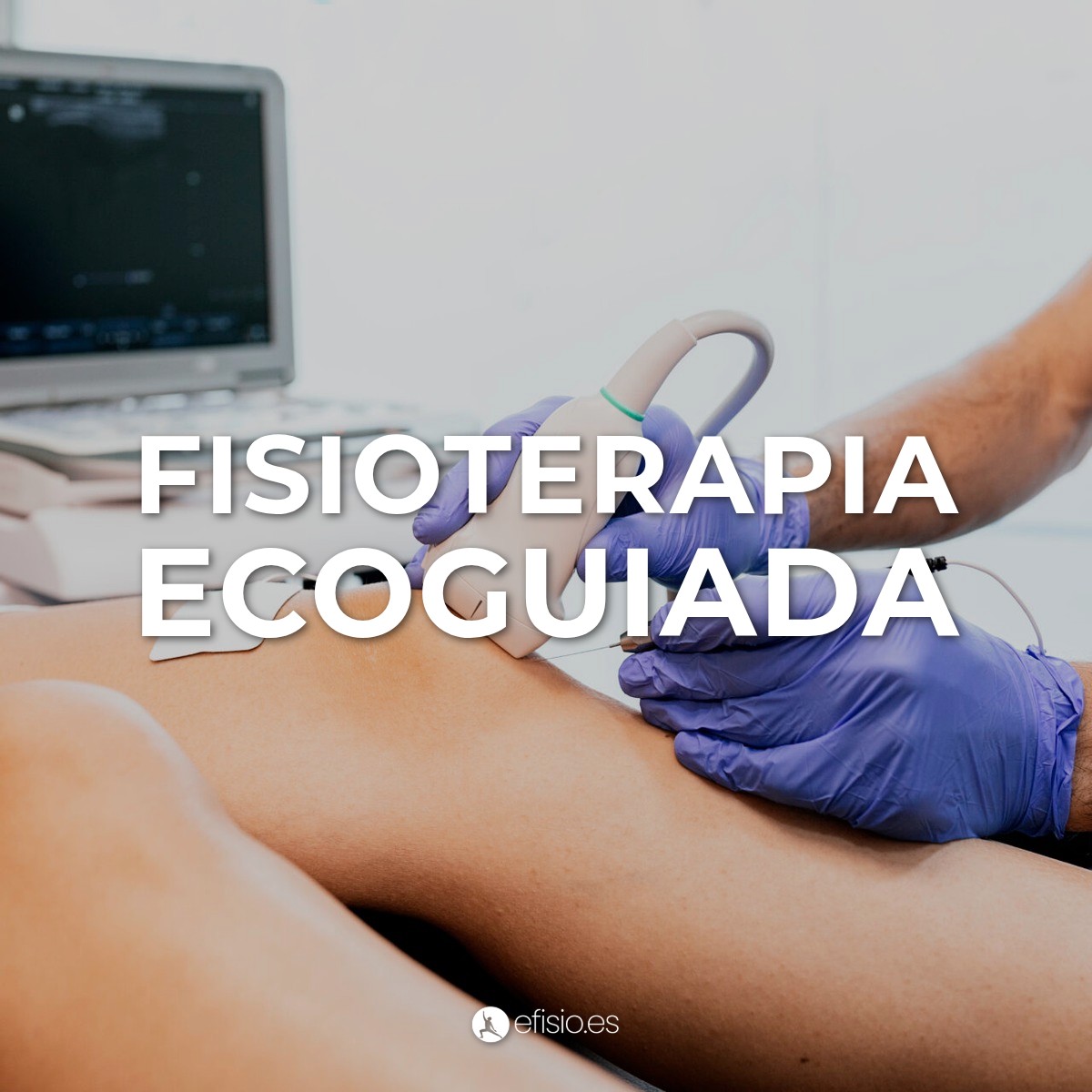 Fisioterapia Ecoguiada