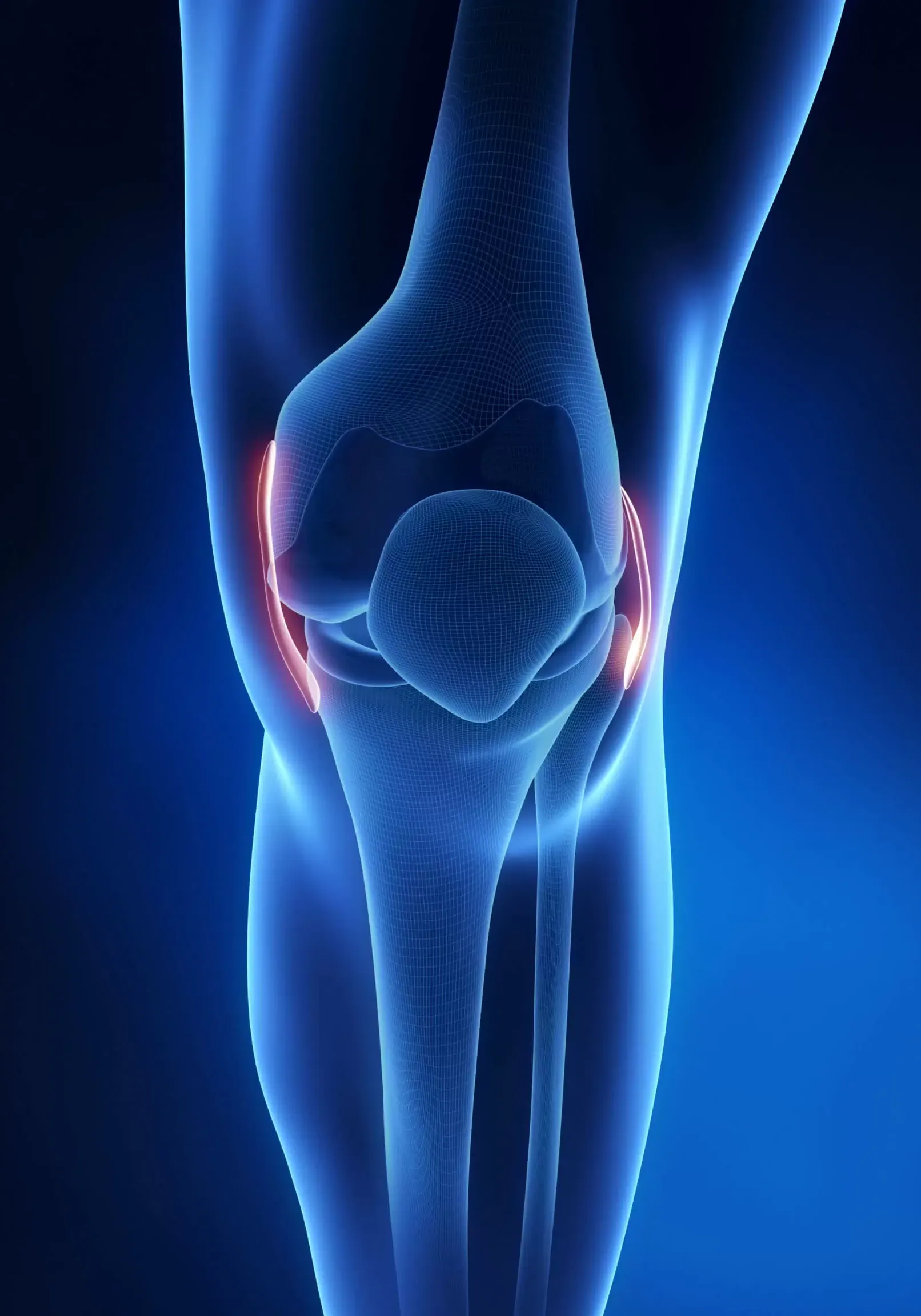 Lesiones de los Ligamentos Dorsales