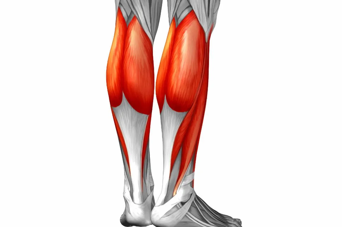 Mialgia en el músculo gastrocnemio