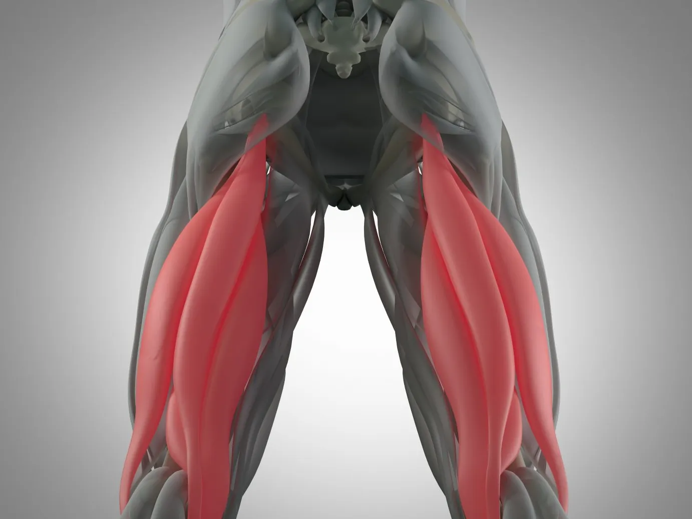 Tendinitis de los Isquiotibiales (Muslo y Rodilla)