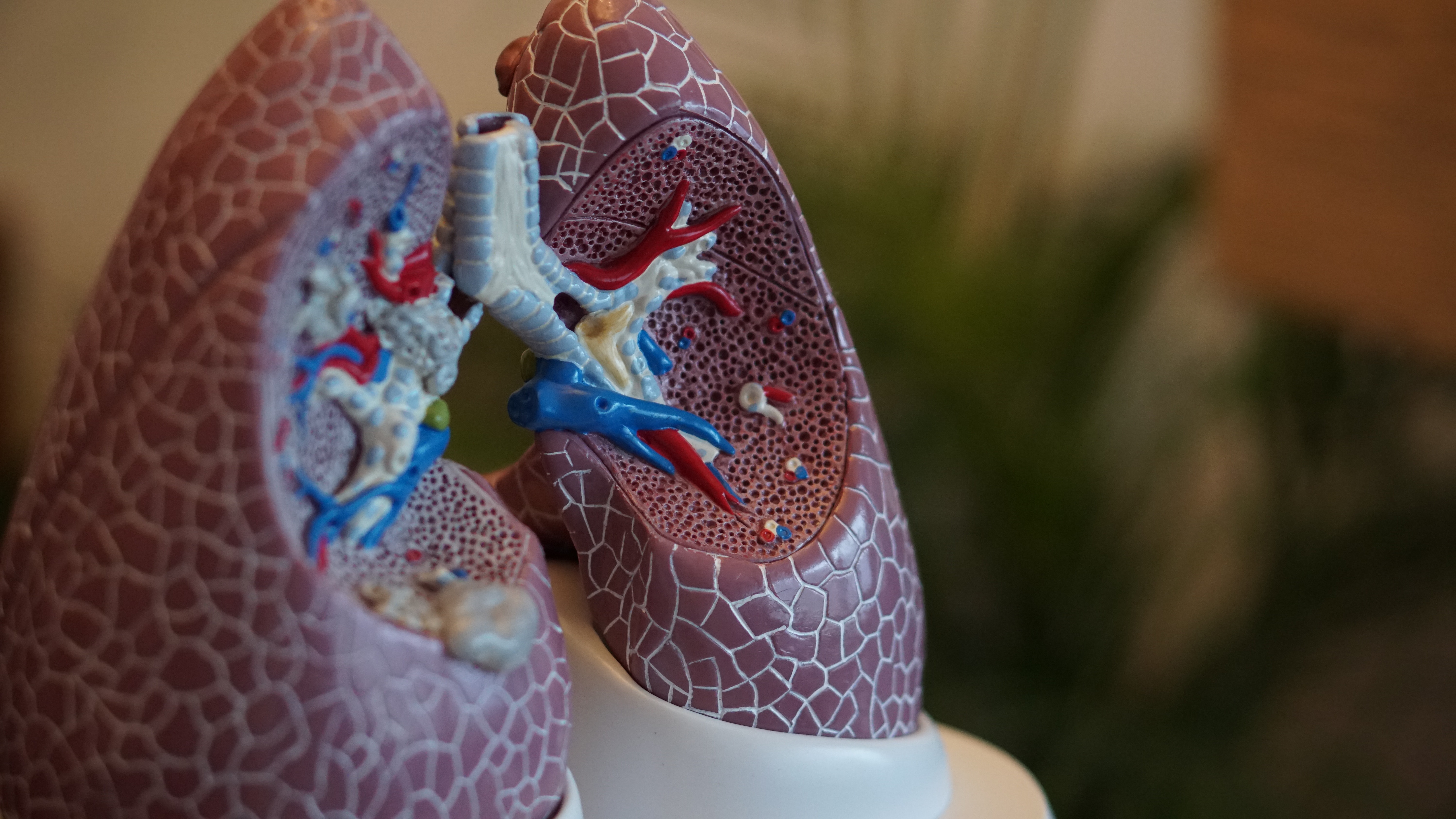 Fisioterapia Respiratoria: Qué es, para qué se usa y ejercicios
