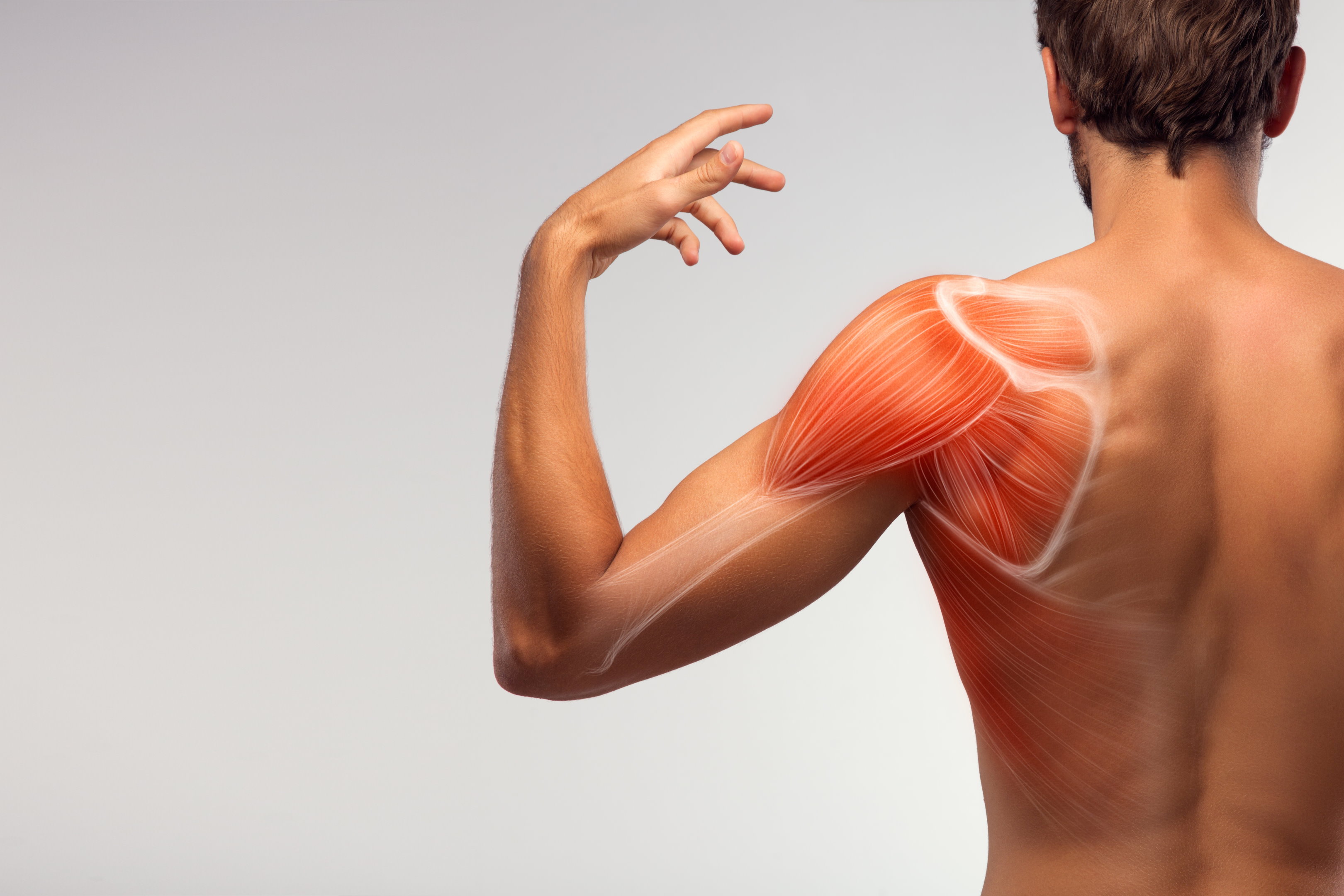 Fisioterapia Hombro Madrid